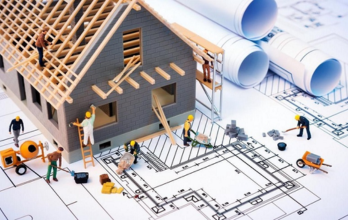 Prima vera p6 online course